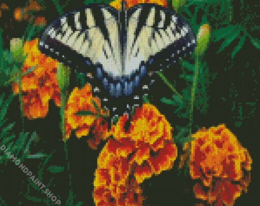 Butterfly On Marigolds Diamond Paintings