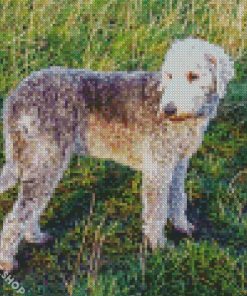 Bedlington Dog Diamond Paintings