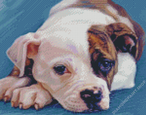 American Bulldog Puppy Diamond Paintings