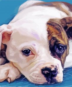 American Bulldog Puppy Diamond Paintings