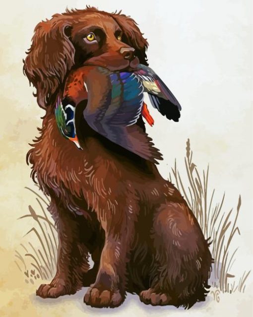 Boykin Spaniel Dog Diamond Paintings