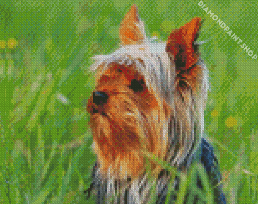 Australian Terrier Diamond Paintings