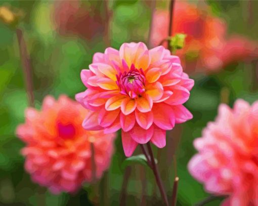 Dahlia Coral Flowers Diamond Paintings