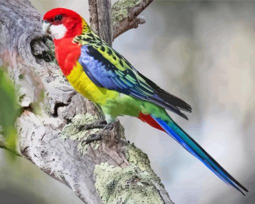 Eastern Rosella Bird Diamond Paintings