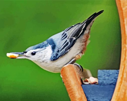 Breasted Nuthatch Diamond Paintings