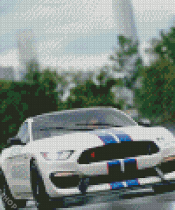 Ford Shelby GT350R Diamond Paintings