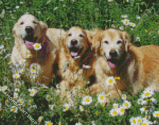 Golden Retrievers Puppies Diamond Paintings