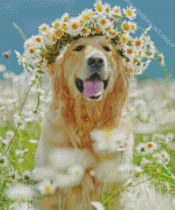 Golden Retrievers Diamond Paintings