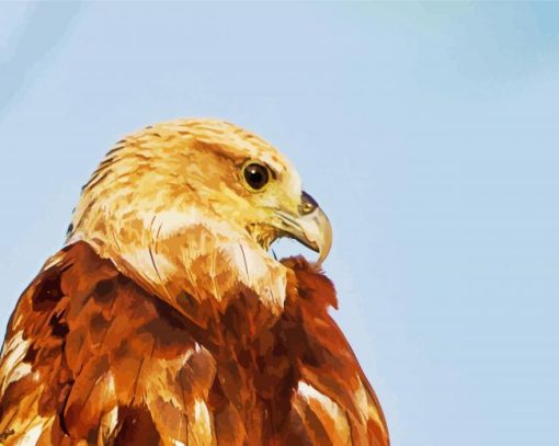 Indian Eagle Diamond Paintings