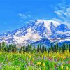 Mountain Rainier Diamond Paintings