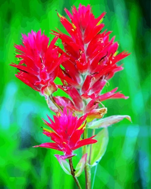 Indian Paintbrush Diamond Paintings