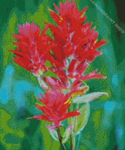 Indian Paintbrush Diamond Paintings