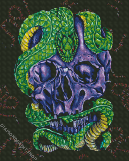 Skull With Green Snake Diamond Paintings