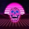 Retro Purple Skull Diamond Paintings