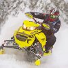 Snowmobile Rider Diamond Paintings