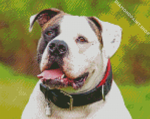 American Bulldog Diamond Paintings