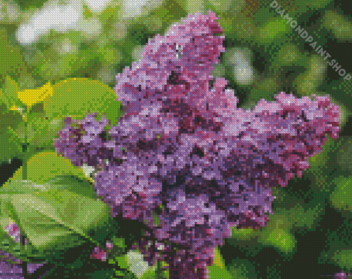 Purple Lilac Tree Diamond Paintings