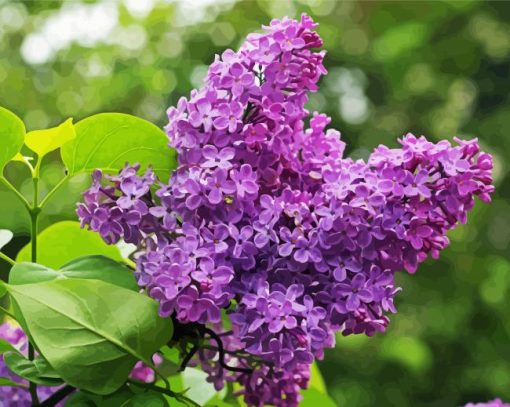 Purple Lilac Tree Diamond Paintings