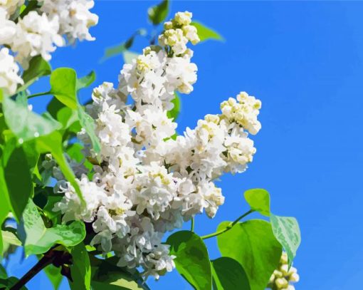 White Lilac Tree Diamond Paintings