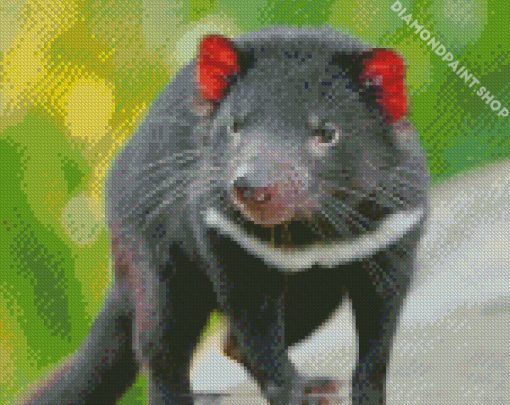 Tasmanian Devil Diamond Paintings