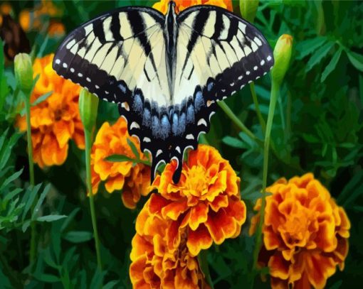 Butterfly On Marigolds Diamond Paintings