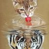 Cat Reflection Diamond Paintings