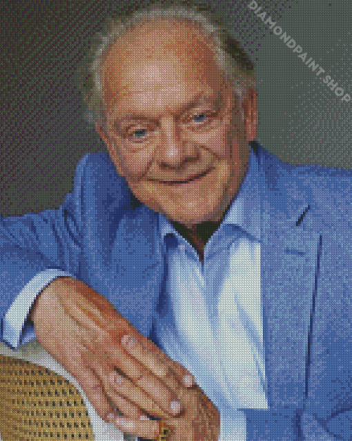 Classy David Jason Diamond Paintings