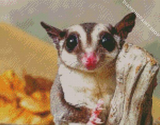 Cute Sugar Glider Diamond Paintings