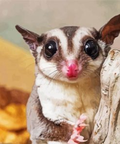 Cute Sugar Glider Diamond Paintings