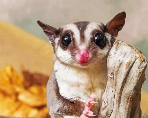 Cute Sugar Glider Diamond Paintings