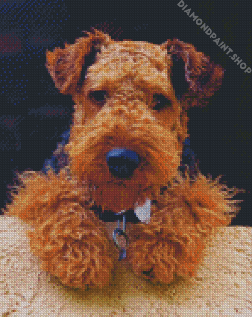 Cute Welsh Terrier Diamond Paintings