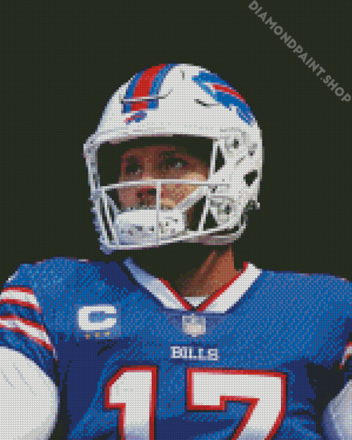 Josh Allen Player Diamond Paintings