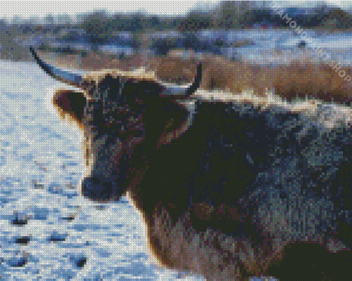 Grey Yak Animal Diamond Paintings