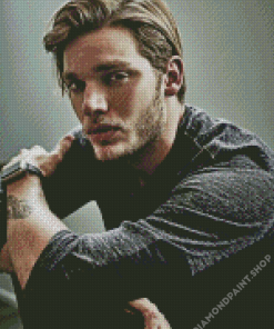 Dominic Sherwood Diamond Paintings