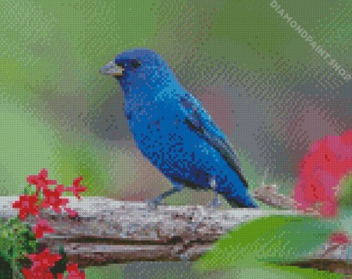 Blue Indigo Bunting Diamond Paintings