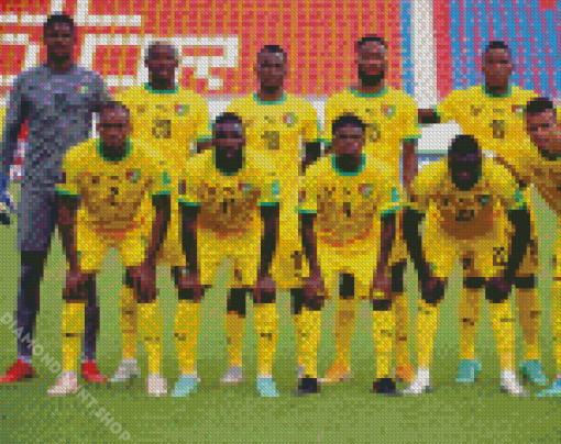 Togo Football Team Diamond Paintings