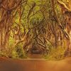 Game Of Thrones Trees Road Diamond Paintings