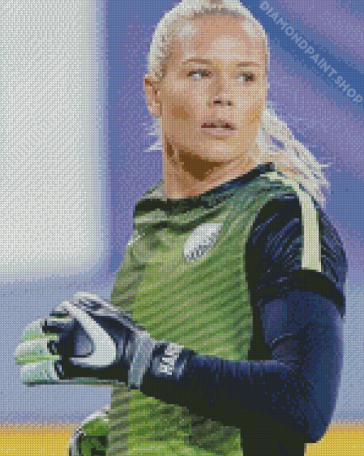 Ashlyn Harris Player Diamond Paintings