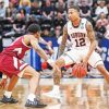 Auburn Tiger Basketballers Diamond Paintings