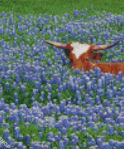 Longhorn In Bluebonnets Field Diamond Paintings