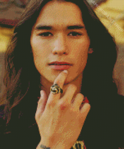 Booboo Stewart Diamond Paintings