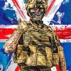 British Army Soldier Diamond By Paintings