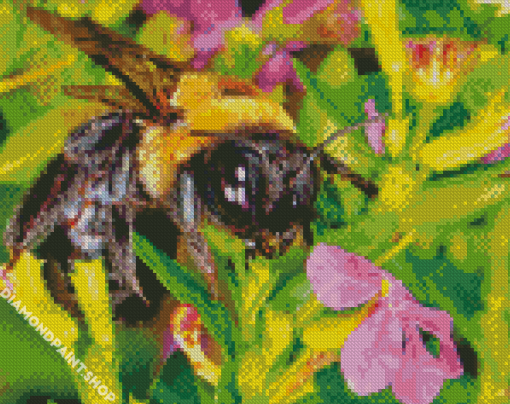 Close Up Bumble Bee Diamond By Paintings