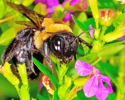 Close Up Bumble Bee Diamond By Paintings