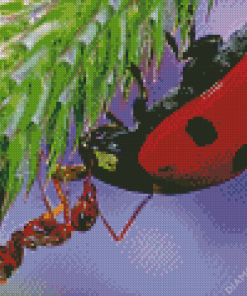 Close Up Ant And Ladybug Diamond Paintings