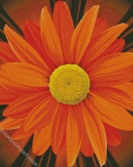 Close Up Orange Flower Diamond Paintings