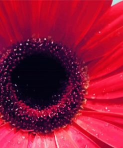 Close Up Red Flower Diamond Paintings