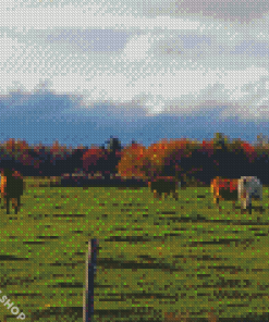 Cows Fall Scene Diamond Paintings