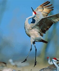 Cute Sandhill Crane Diamond By Paintings