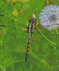 Cute Dragonfly And Dandelion Diamond Paintings